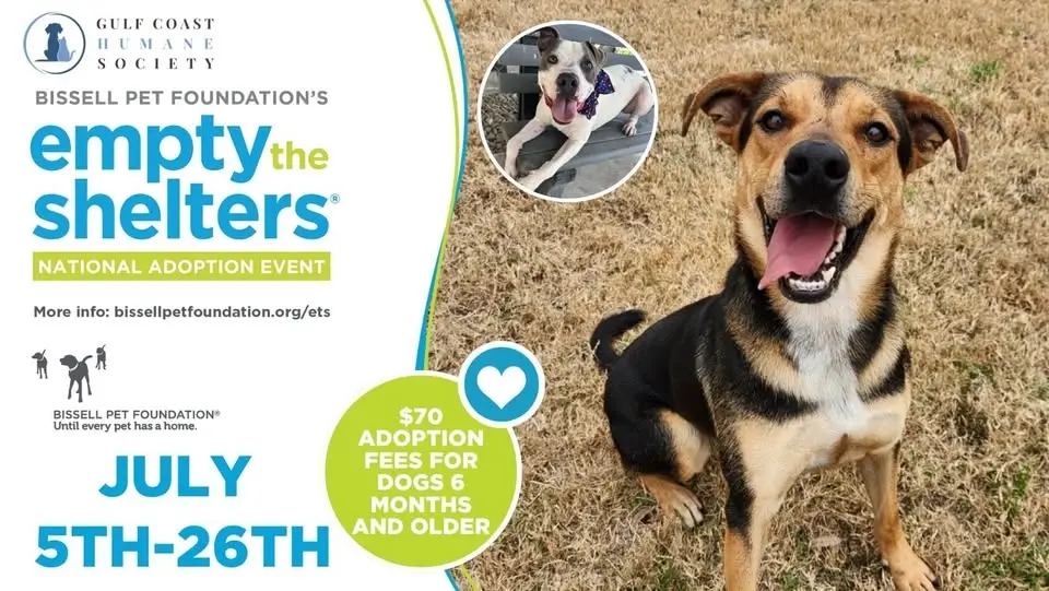 Empty the Shelters🐾 | Gulf Coast Humane Society