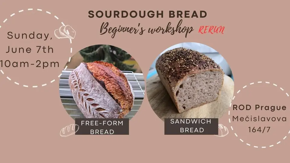 {RERUN} Sourdough Bread Workshop