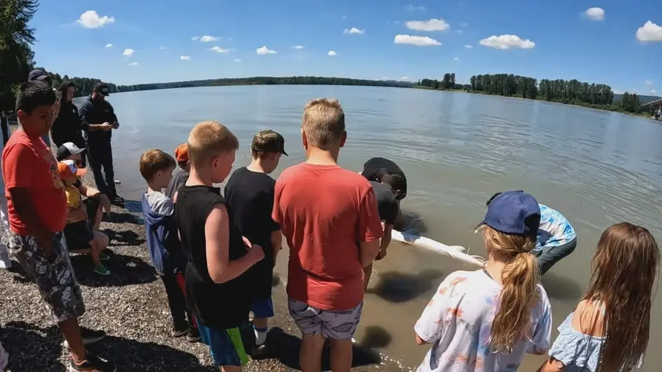 Shorefishing for Sturgeon Round 2