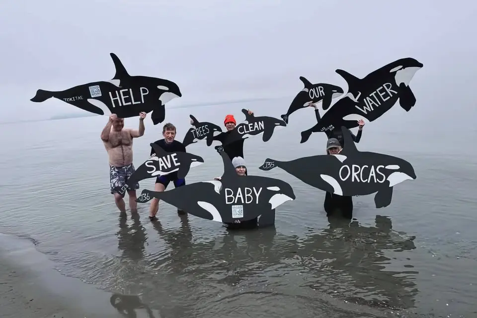 Orca Beach Cleanup / Plunge & Silent Disco