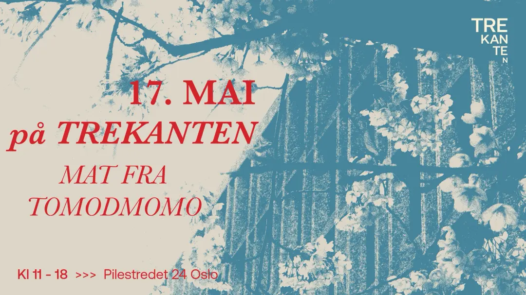 17. mai på Trekanten