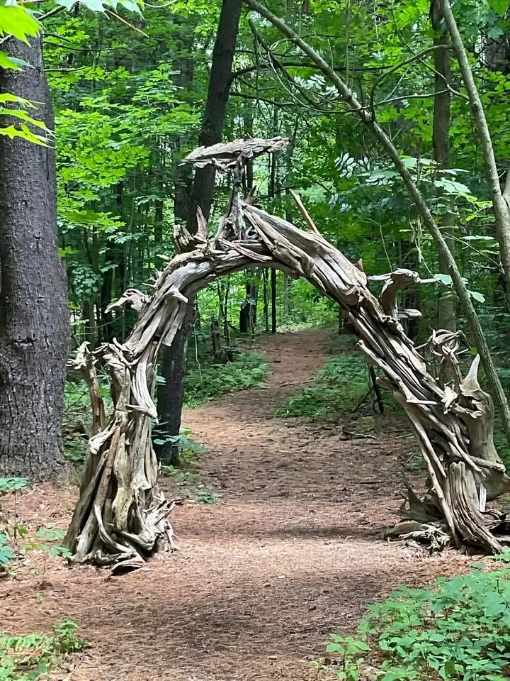Fantasy in the Forest Art show