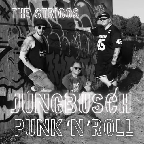 THE STRIGGS (DE) + VAULTAIRE (DE) Punk'n'Roll @ ALTER