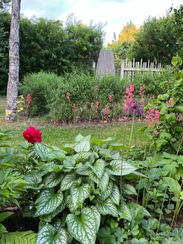 Öppen trädgård