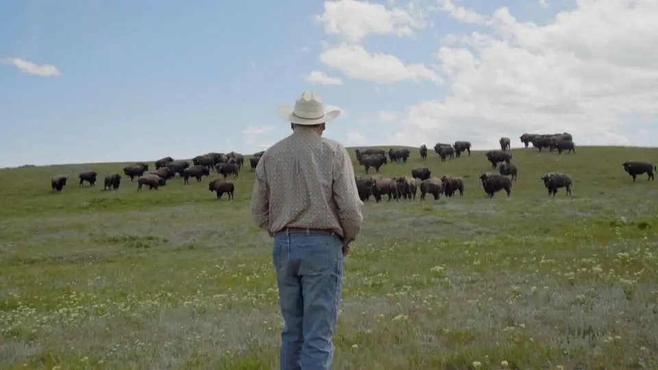 Natural History on the Big Screen: Bring Them Home Screening and Q&A