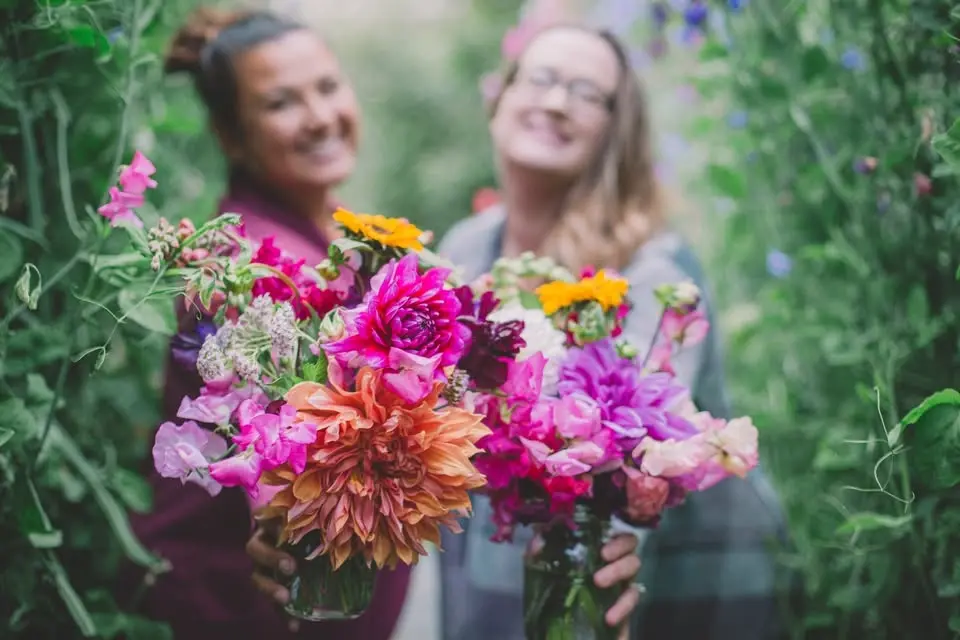 Alaska Flower Farm U-Pick Days