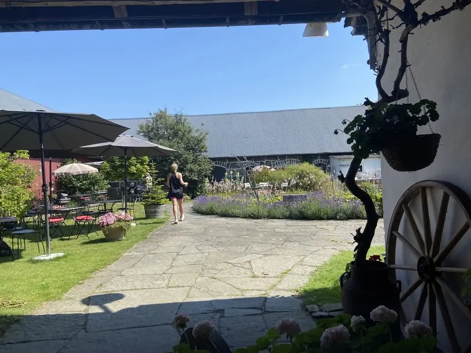 Sommaryoga & våfflor på Rit-& Målerigården 
