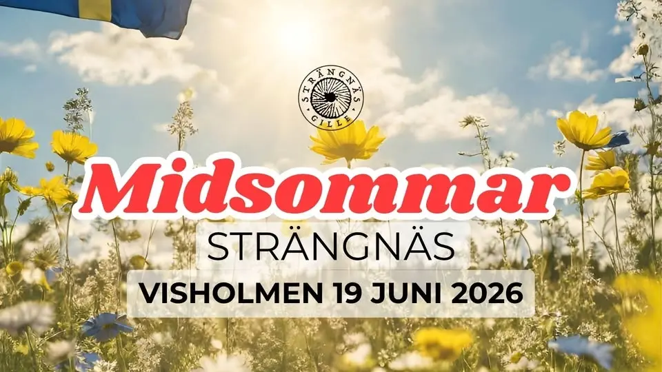 đŒ Traditionellt midsommarfirande pĂ„ Visholmen đŒ