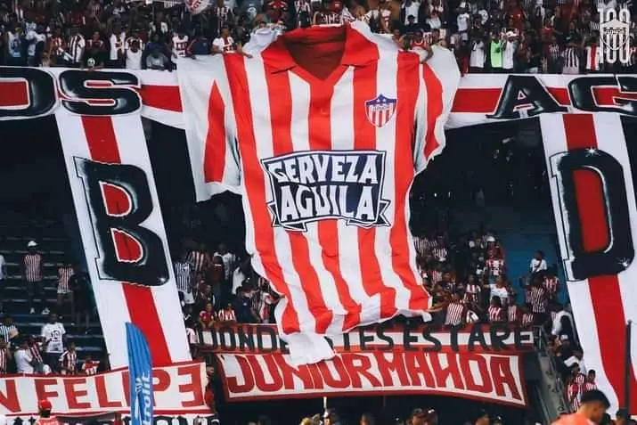 junior vs chico