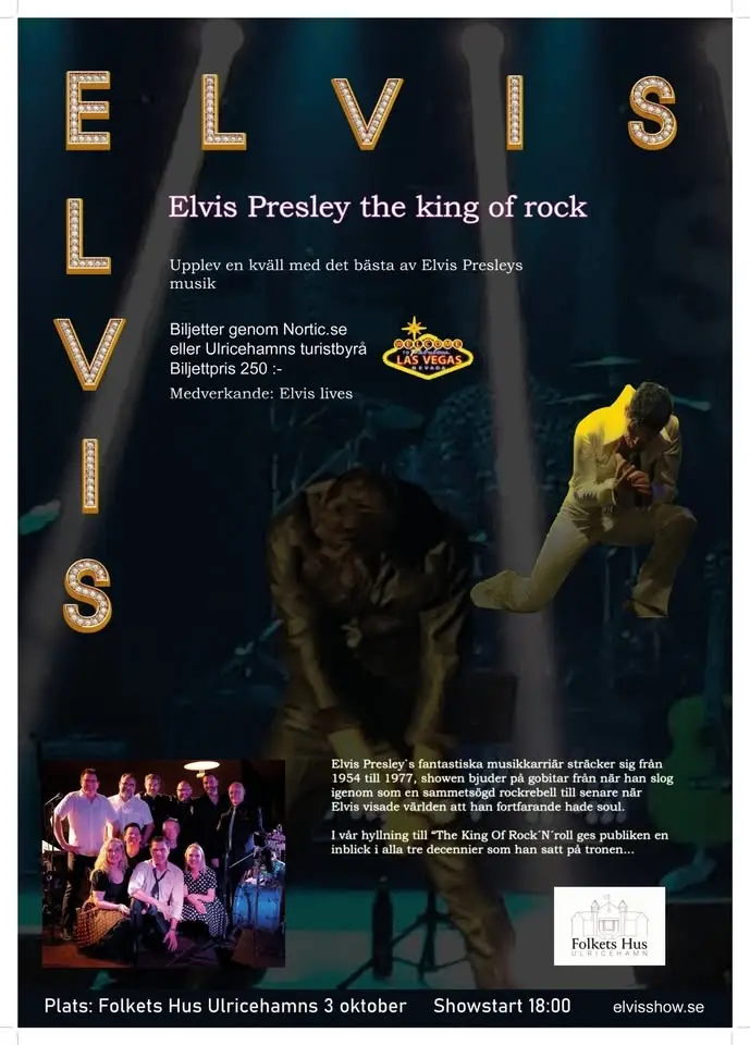 Elvis the king of rock