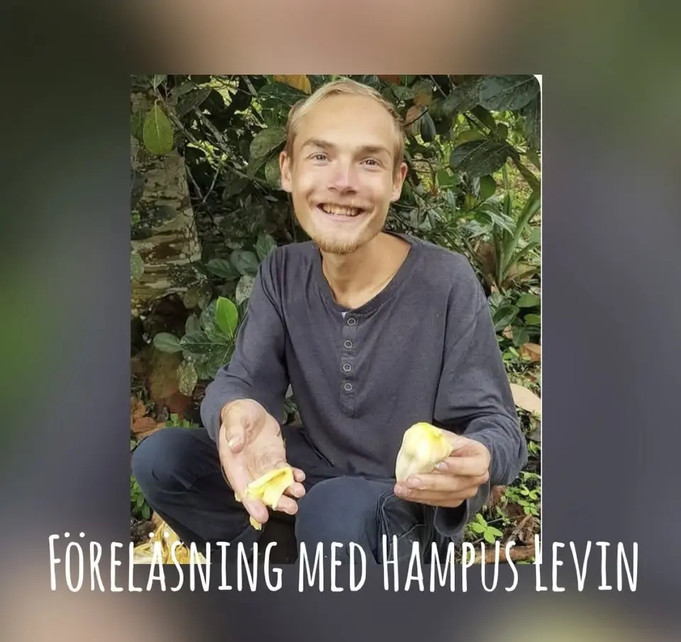 Naturlig Hälsa