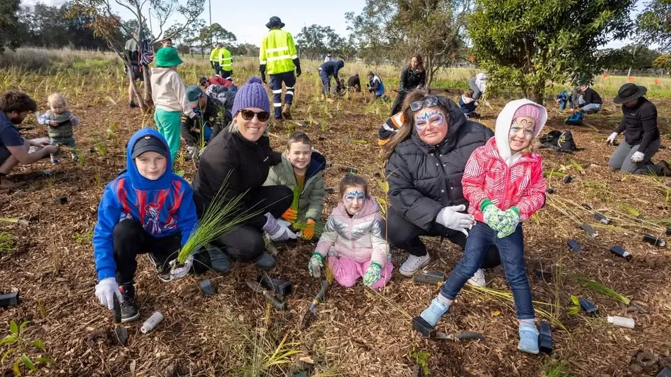 National Tree Day 2026 | Collier Street Park, Wallsend