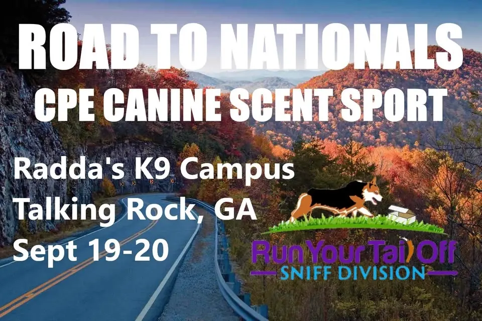 Road to Nationals CPE Canine Scent Sport Trial