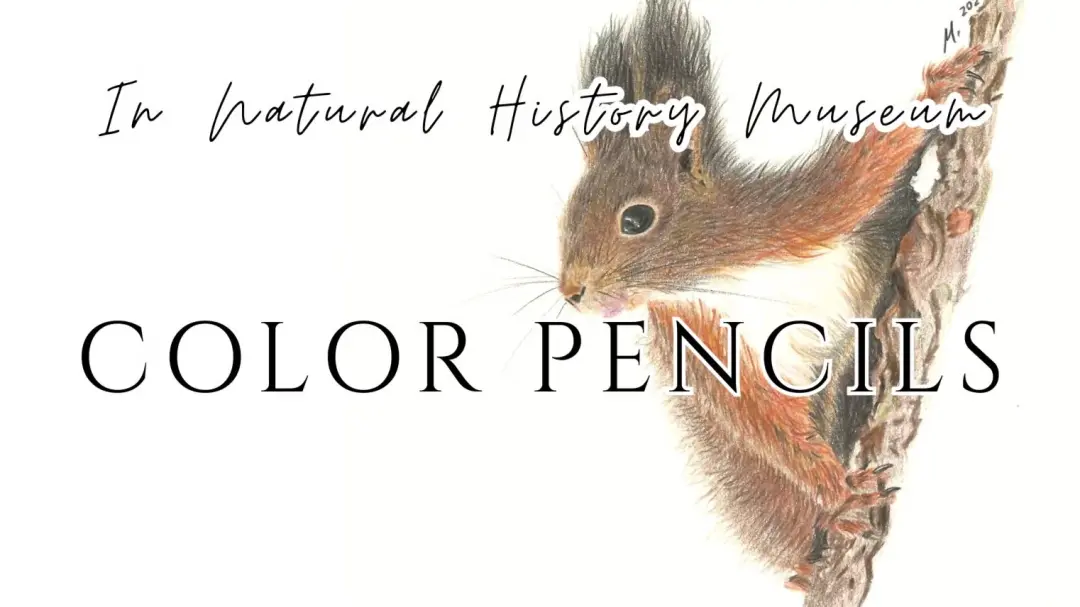 COLOR PENCILS. Drawing Animals in Natural History Museum