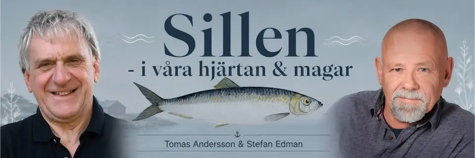 Sillen - i våra hjärtan & magar