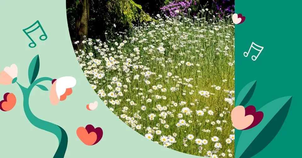 Sommarmusik: Doft av sommar