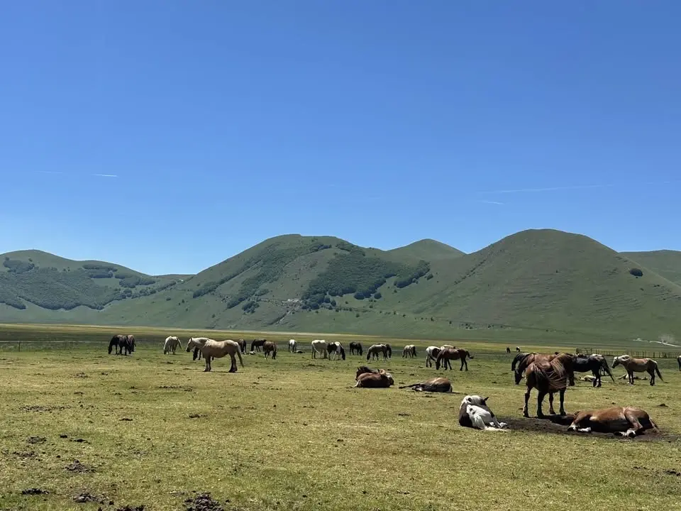 Recanati - Castelluccio di Norcia