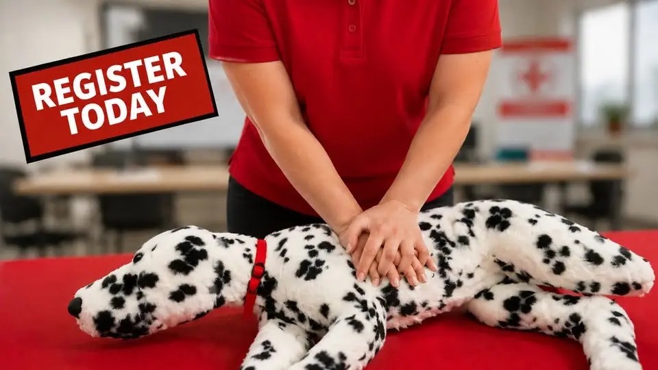 Pet CPR and First Aid Certification Class at Einstein's Canine College Wilmington, NC
