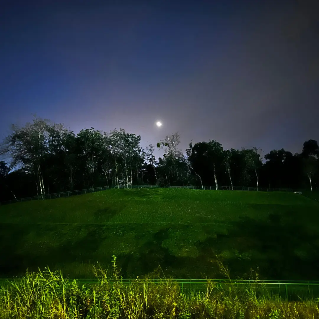 5km Evening Walk