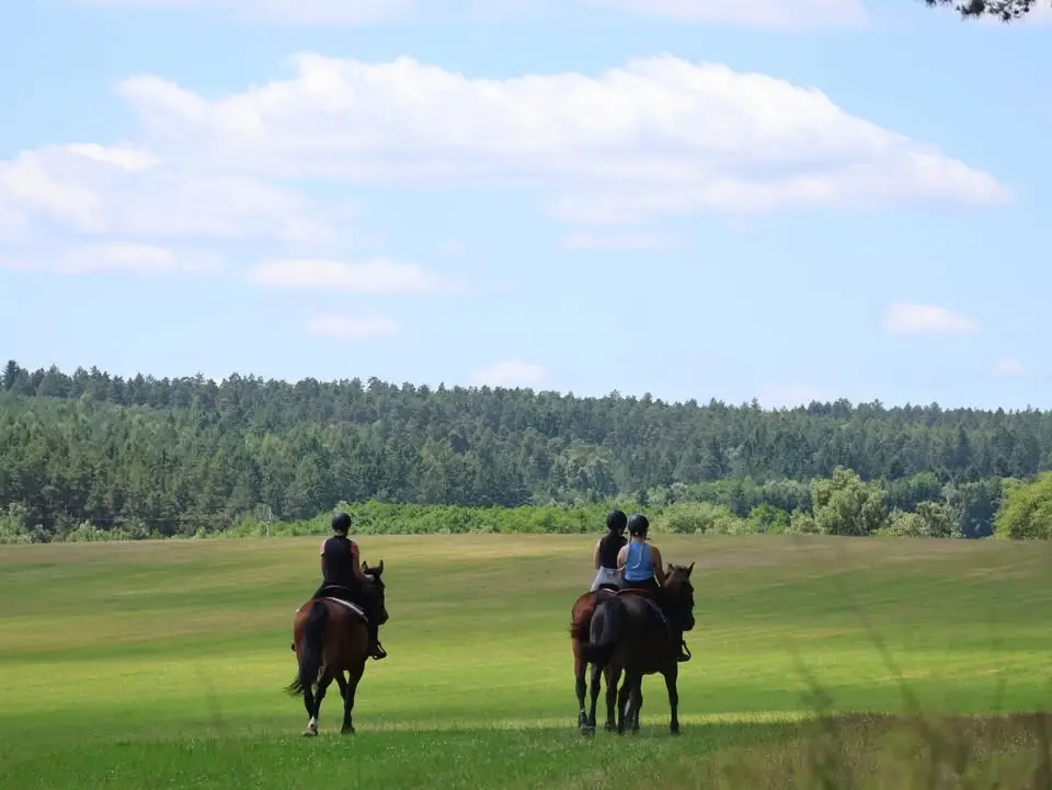 Orientační běh II. 🐎