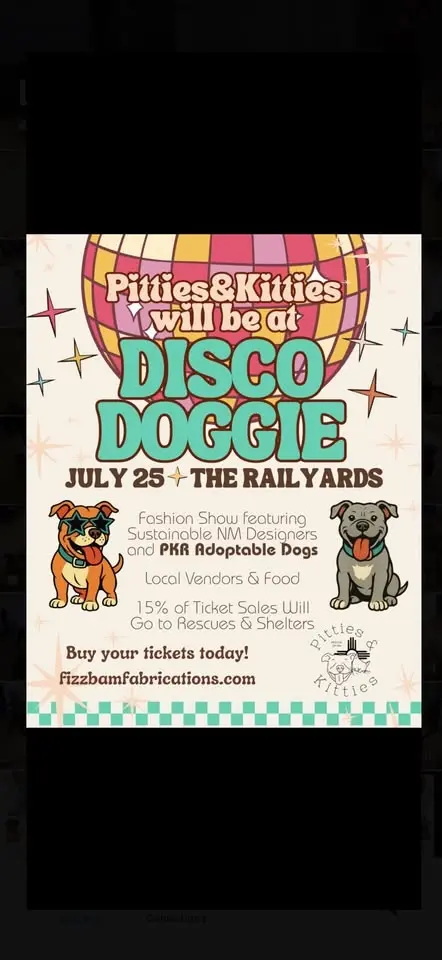 Disco Doggie Fashion Show! Fizzbam Fabrications