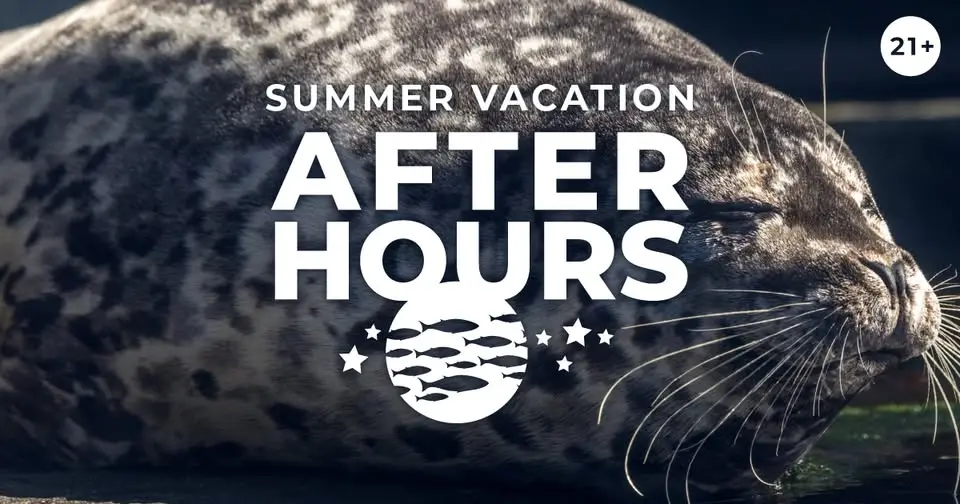 After Hours: Summer Vacation