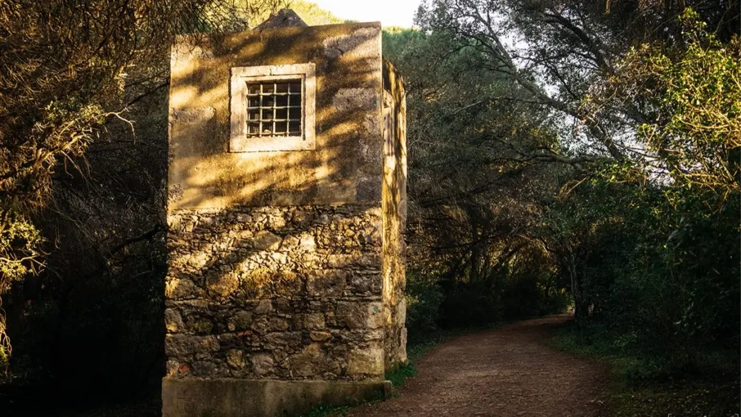 Morning walk #61: Águas Livres Aqueduct - Calhau Park