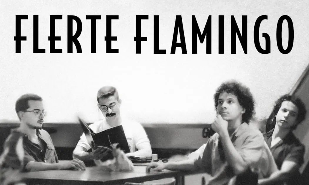 Flerte Flamingo Em Belo Horizonte