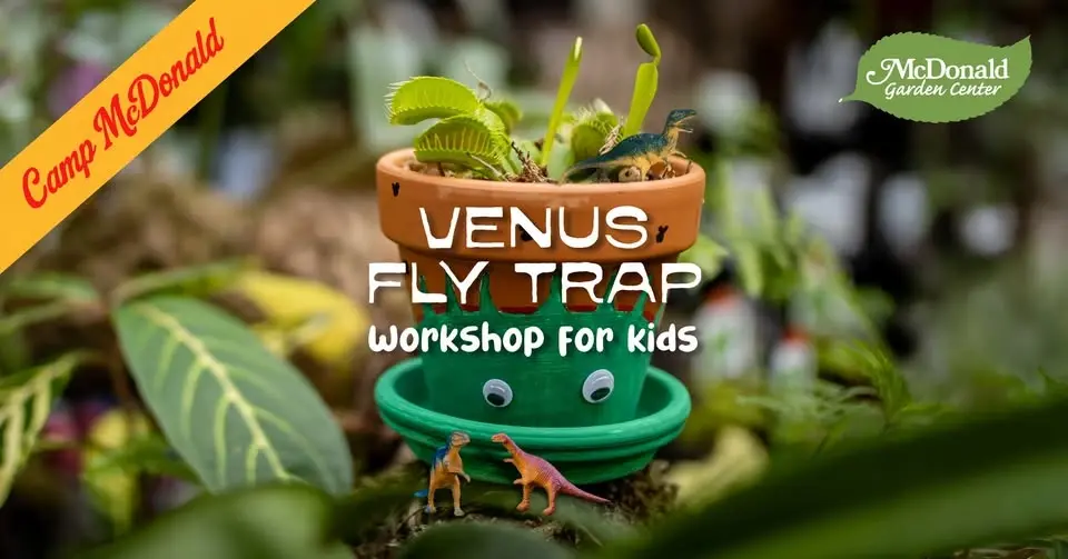 Venus Flytrap Workshop for Kids July 11, 2026 @ 11:00 am - 12:00 pm