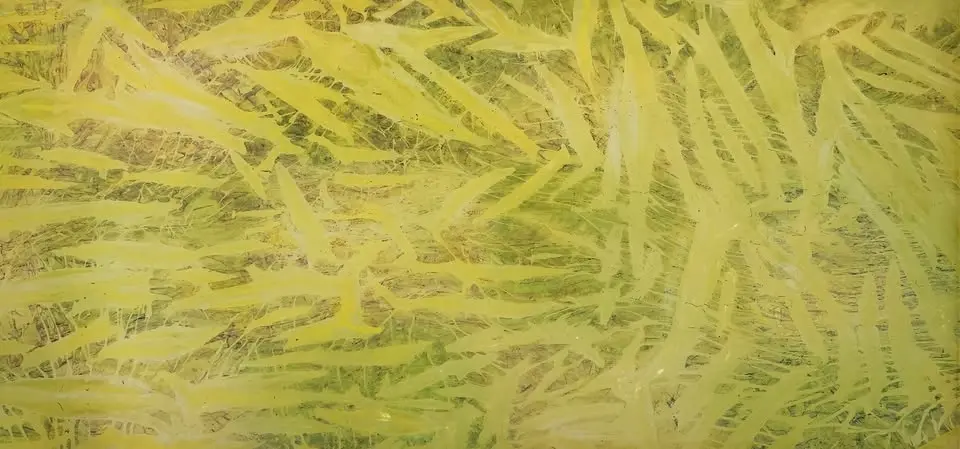 Opening Reception for "Sway" by Alexandra Beaumont