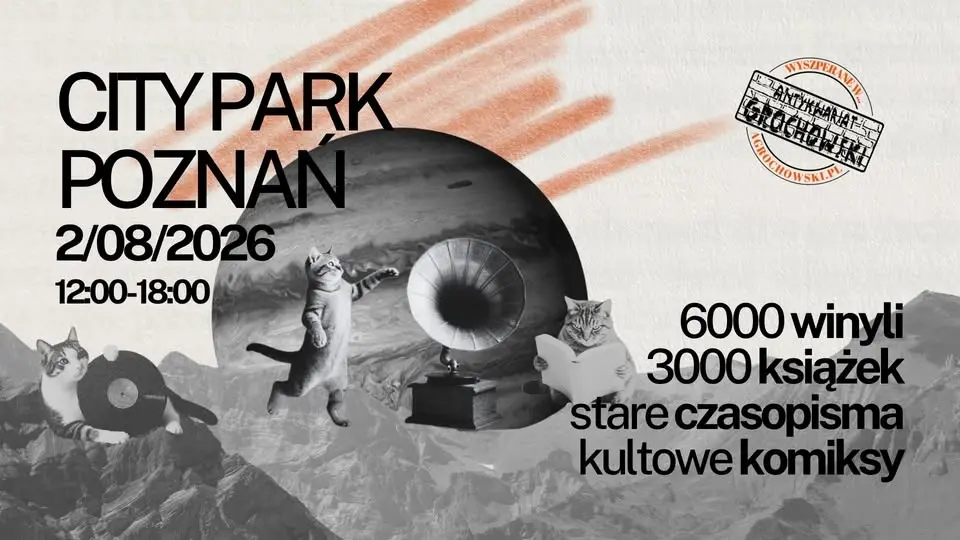 TANIE KSIĄŻKI I WINYLE W POZNANIU