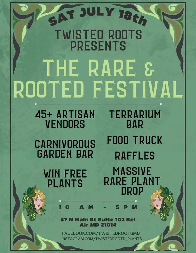 The Rare & Rooted Festival & Our 3 year Anniversary
