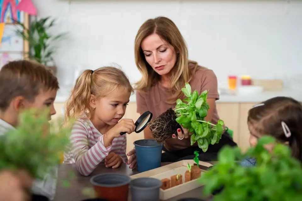 Kids Class: How Plants Work