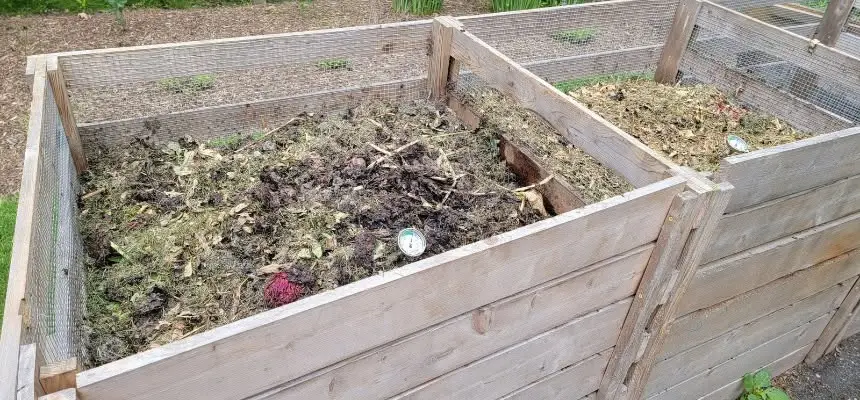 Sustainable Living: Seed Pack and Chat - Making Your Own Fertilisers - Wallsend Library