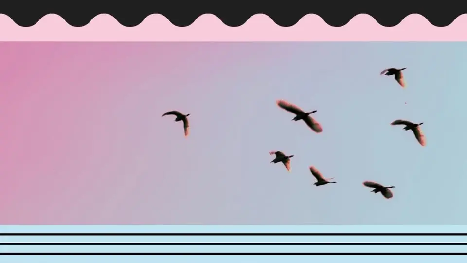 Poesi och sång - om fåglar