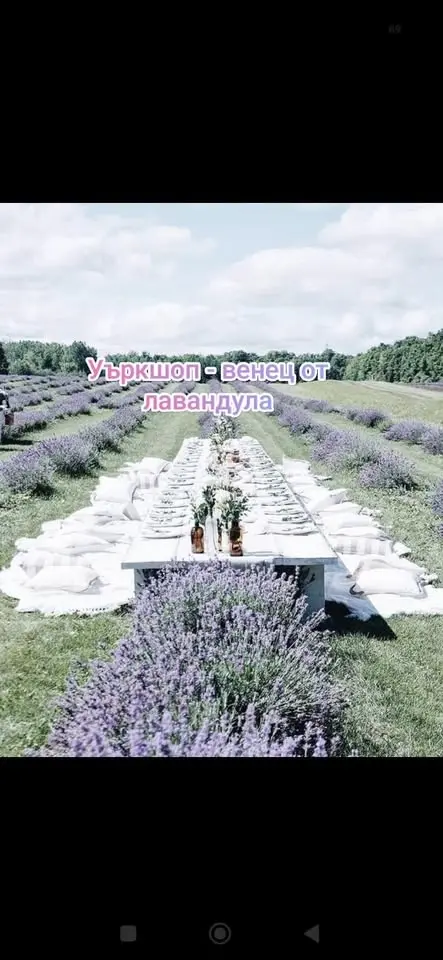 🌿 Лавандула, вино и венци 🌿