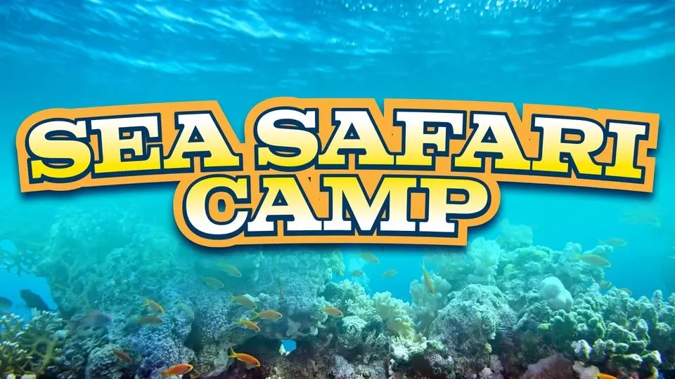 Sea Safari Camp