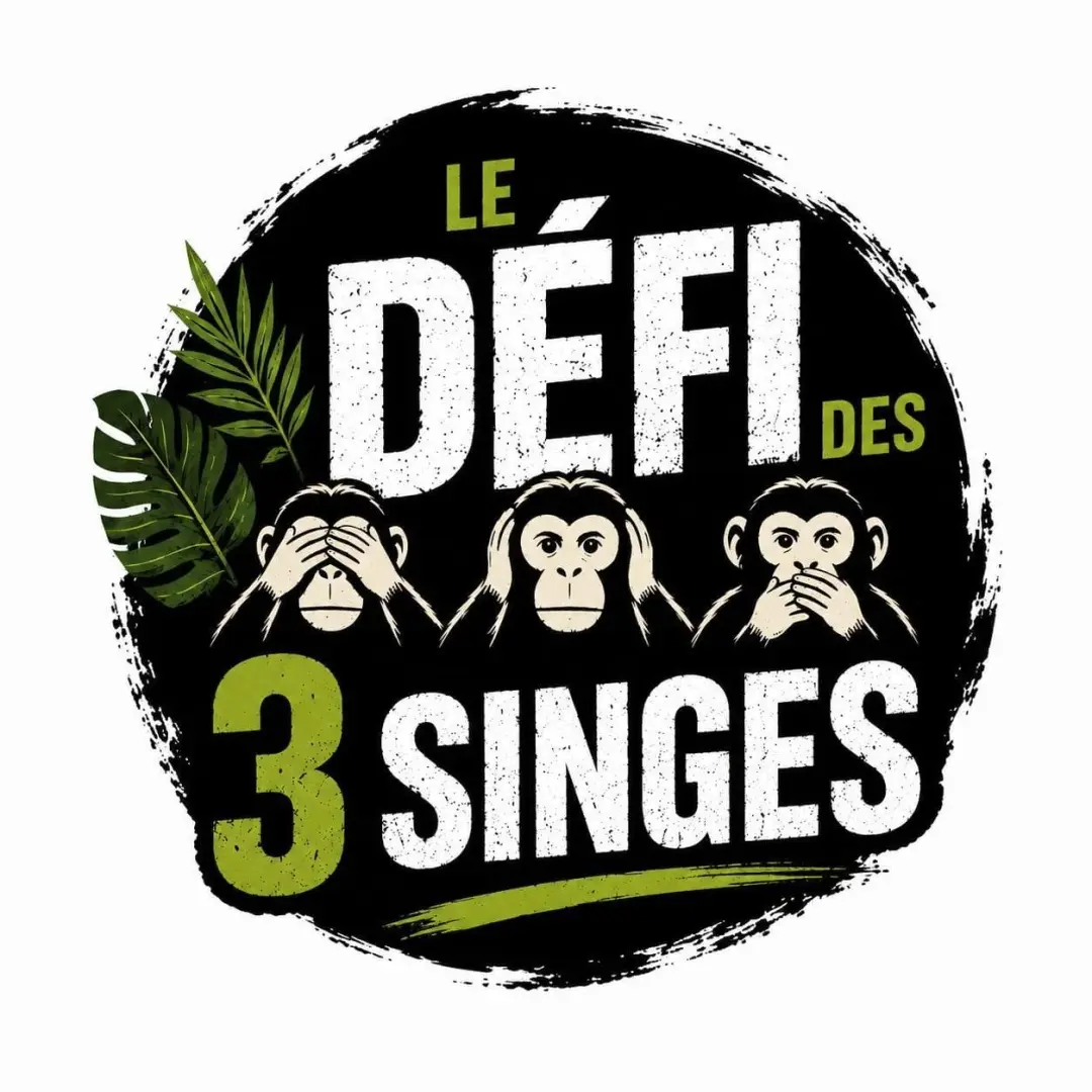 Le défi des 3 singes🐒