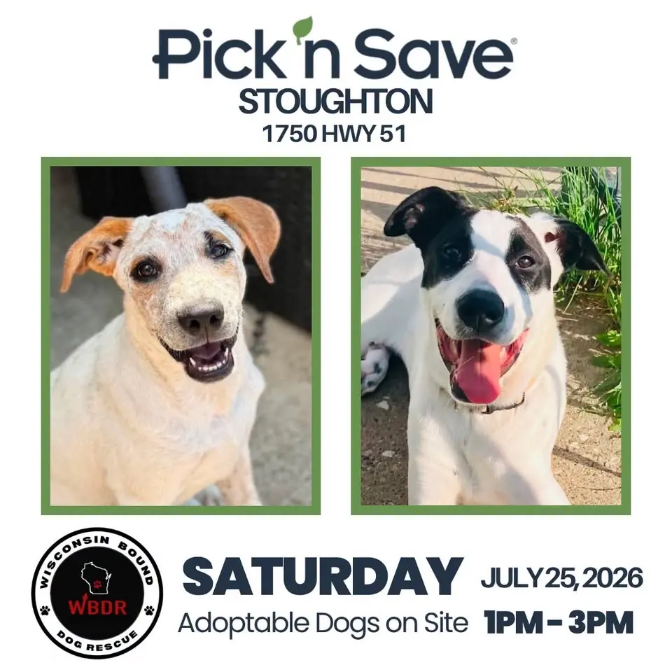 Adoption Event - Pick n Save Stoughton
