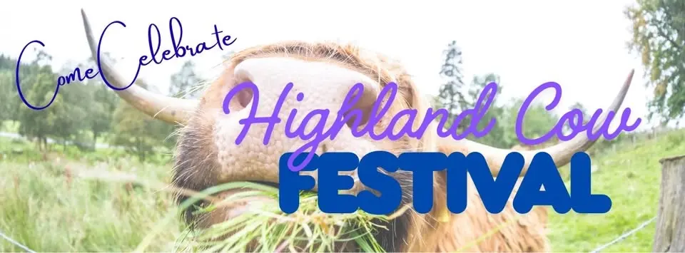 Highland Cow Festival