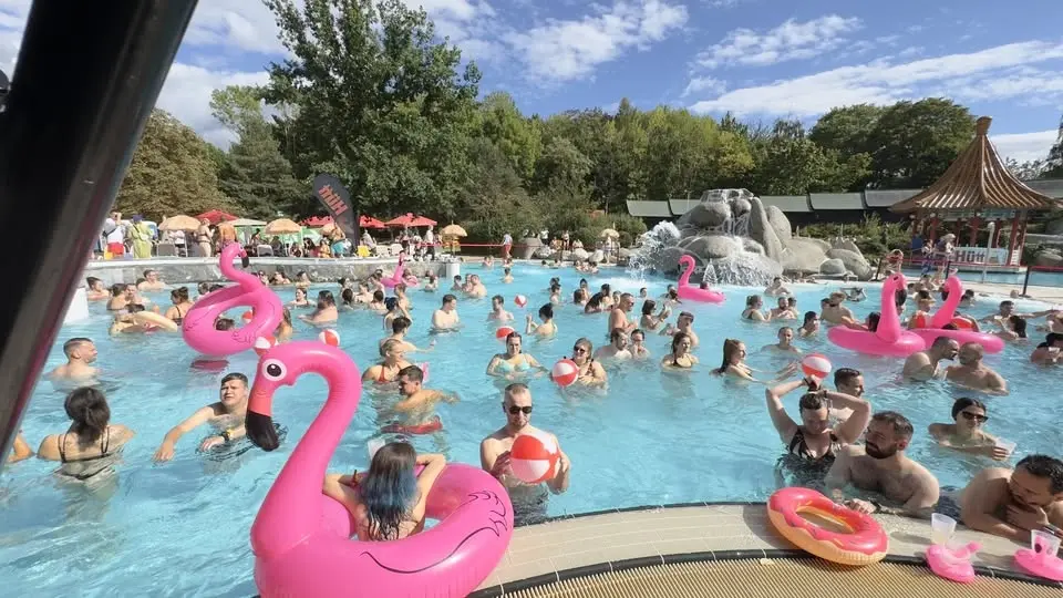 Flamigos Pool Party