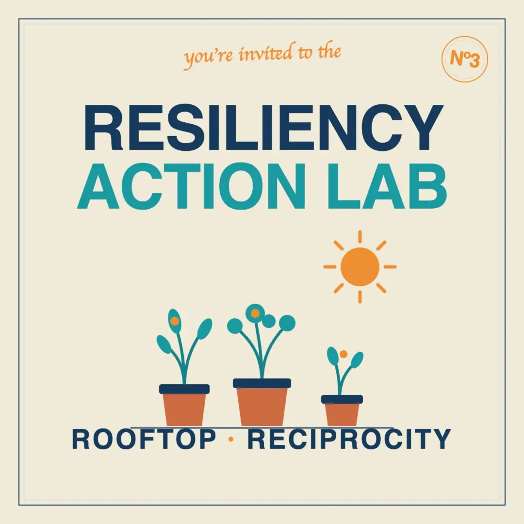 🌿 Rooftop Reciprocity: An Urban Gardening — Action Lab #3 🌱