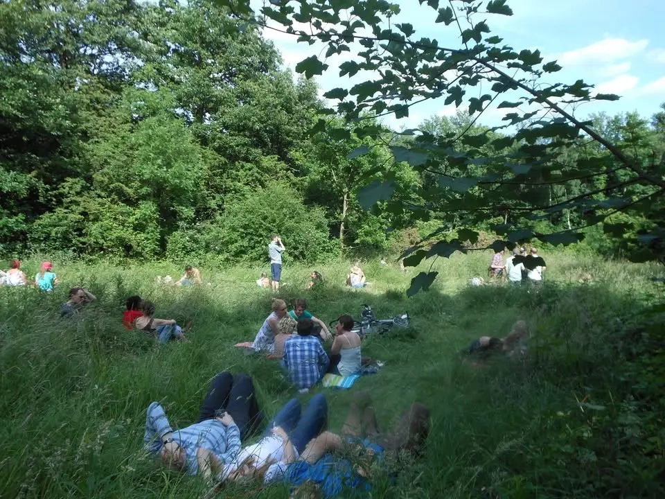 Festival in the Forest