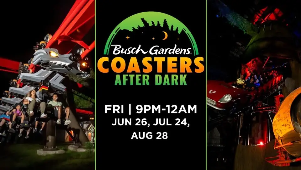 Coasters After Dark