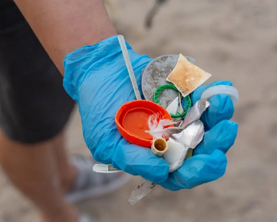 Drink Local Drink Tap August Beach Cleanup