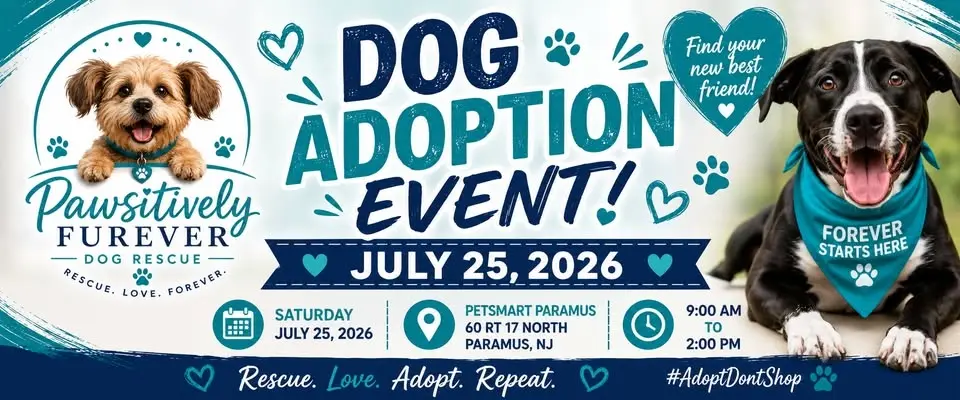 Dog adoption Event