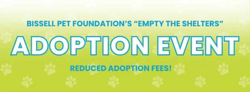 Cat & Kitten Adoption Event