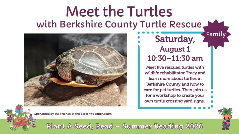 Meet the Turtles with Berkshire County Turtle Rescue | Children's Programming
