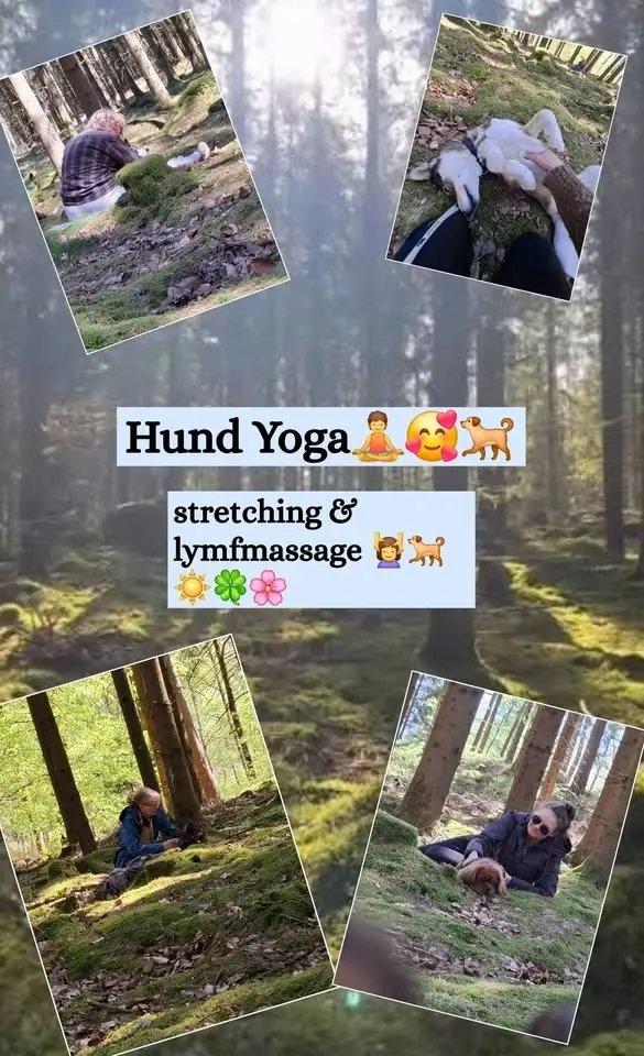 Hund Yoga Tygelsjö
