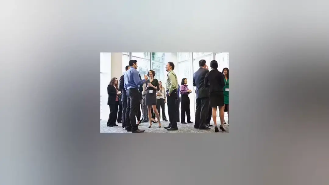 StartUps Connect | Find Your Co-Founders & Business Partners